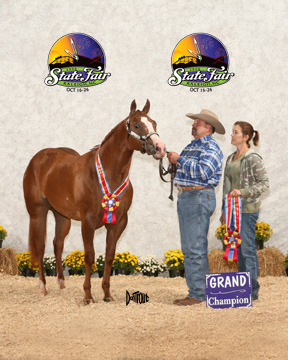 NCFair08_16_007website.jpg