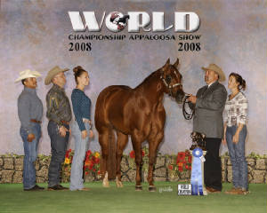 sccobyworlds2008.jpg